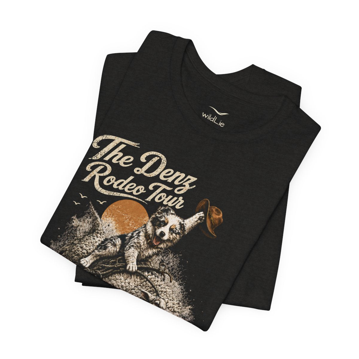 The Denz Rodeo Tour | Border Collie Cowboy